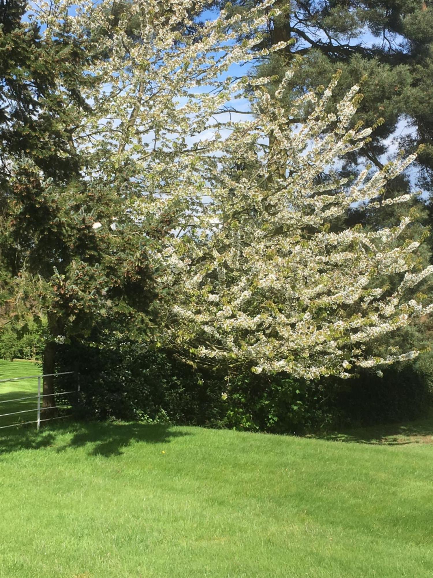 Woodleighton Cottages Uttoxeter Eksteriør bilde